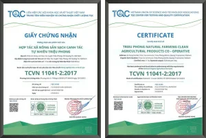 Làm Chứng Nhận Organic Cho Tiêu: Quy Trình & Giấy Tờ Cần Thiết Đầy Đủ