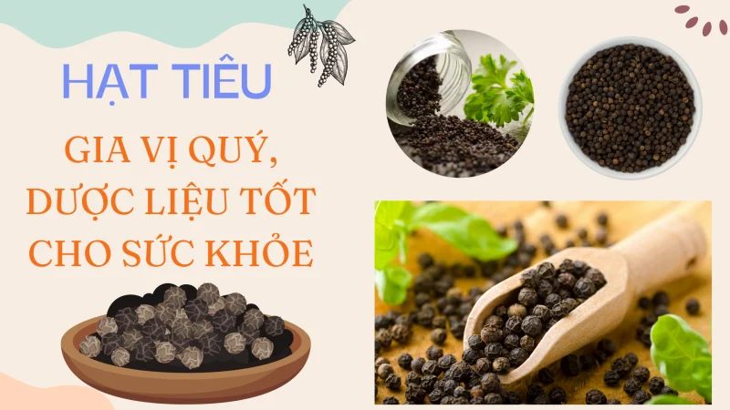 Hạt tiêu đen nguyên chất mang lại nhiều lợi ích cho sức khỏe con người