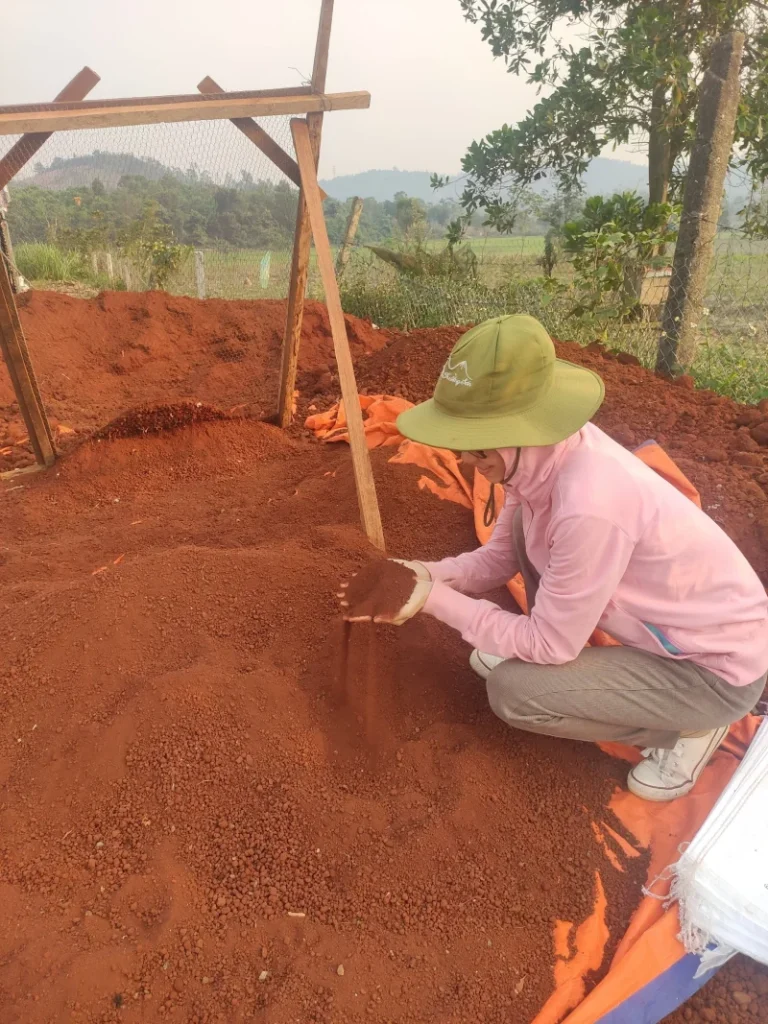 Người nông dân đang kiểm tra chất lượng đất đỏ bazan trồng tiêu