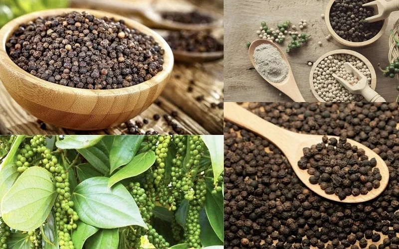Hình ảnh hạt tiêu đen chất lượng cao dùng trong xuất khẩu nông sản