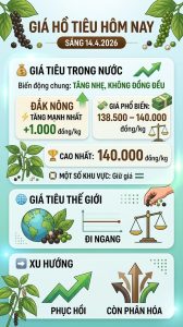 Giá tiêu Tây Nguyên