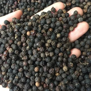 Giá 1kg Tiêu Đen Hôm Nay Bao Nhiêu Tiền? Cập Nhật Mức Bán Lẻ