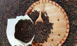 Giá 1kg Tiêu Trắng Hôm Nay Bao Nhiêu? Bảng Giá Mua Sỉ Lẻ