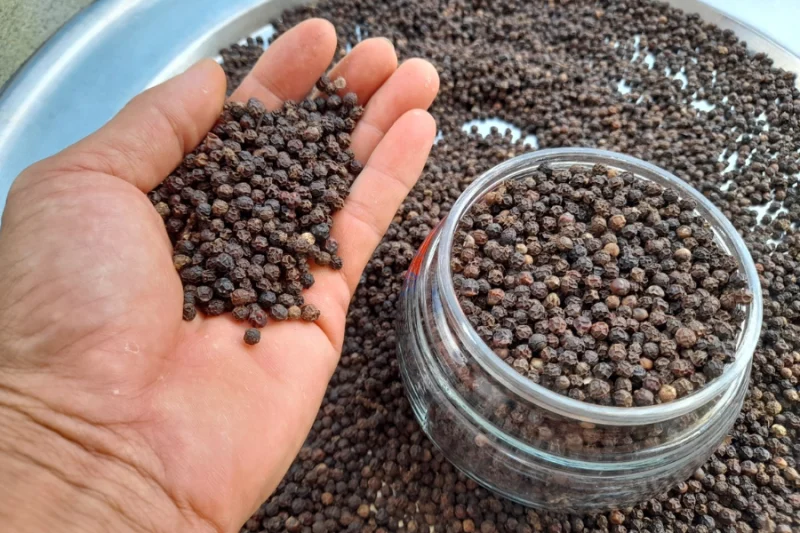 Hạt tiêu đen chất lượng cao dùng cho xuất khẩu và thương mại