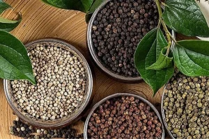 Báo Giá Tiêu Cao Cấp Mới Nhất: Diễn Biến Bảng Giá Nguồn Cung Chọn Lọc