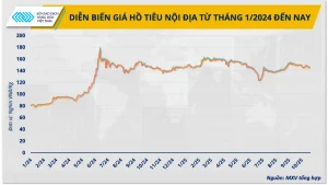 Giá Tiêu Khi Nào Giảm? Những Rủi Ro Lớn Bà Con Cần Lưu Tâm