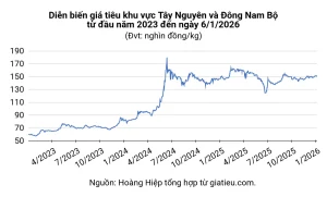 Bảng Giá Tiêu Năm 2026 — Toàn Cảnh Biến Động & Dự Báo Thị Trường