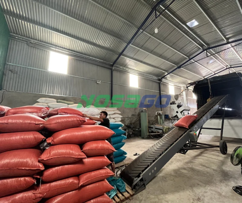 Hoạt động thu mua và vận chuyển tiêu thô tại kho đại lý