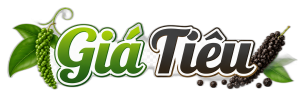 Giá Tiêu VN