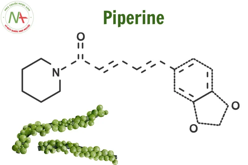 Công thức hóa học Piperine trong hồ tiêu giúp hỗ trợ giảm cân đốt mỡ hiệu quả