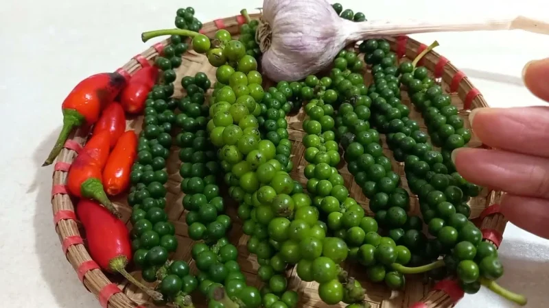 Nguyên liệu tươi gồm tiêu xanh, ớt và tỏi làm muối chấm