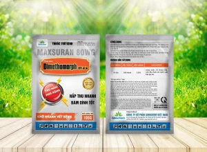 Top Thuốc Trị Bệnh Chết Nhanh Tiêu Tốt Nhất Khuyên Dùng Hiện Nay