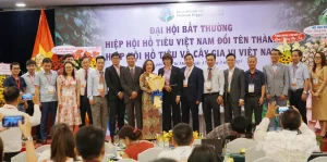 VPA Hiệp Hội Tiêu Việt Nam: Vai Trò Quan Trọng Điểu Phối Xuất Khẩu